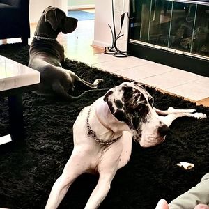 Meet your Posher, Cindy